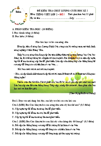 Đề kiểm tra chất lượng cuối học kì 2 Tiếng Việt Lớp 2 (Sách Kết nối tri thức) - Đề số 5 (Có đáp án)
