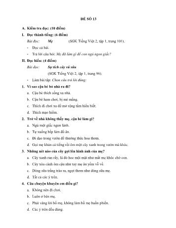 Đề thi học kì 1 môn Tiếng Việt Lớp 2 - Đề 13 (Có đáp án)