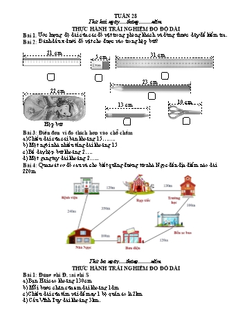 Phiếu bài tập ôn tập môn Toán Lớp 2 (Kết nối tri thức và cuộc sống) - Tuần 28 - Năm học 2022-2023